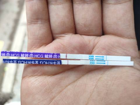 journal_insert_pic_1688186733