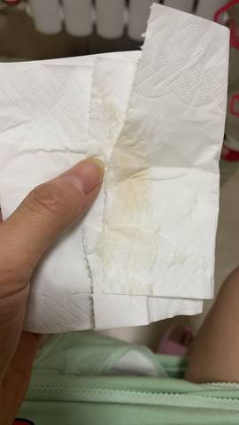 journal_insert_pic_1687214107