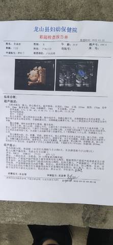 journal_insert_pic_1740914111