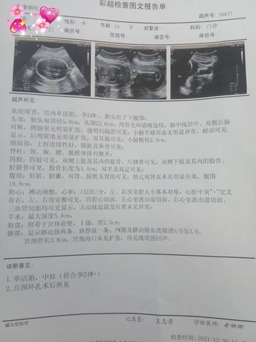 journal_insert_pic_1688981219