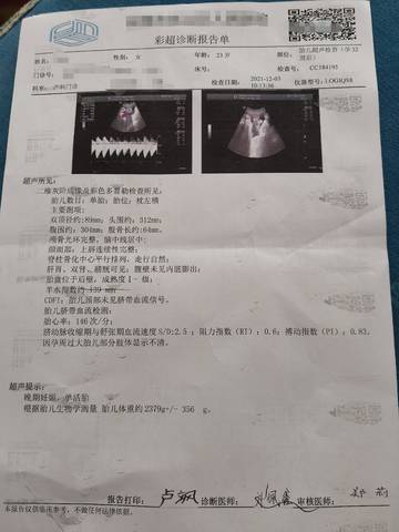 journal_insert_pic_1675515658