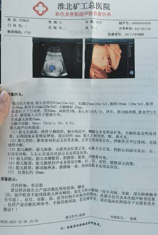 journal_insert_pic_1688996278