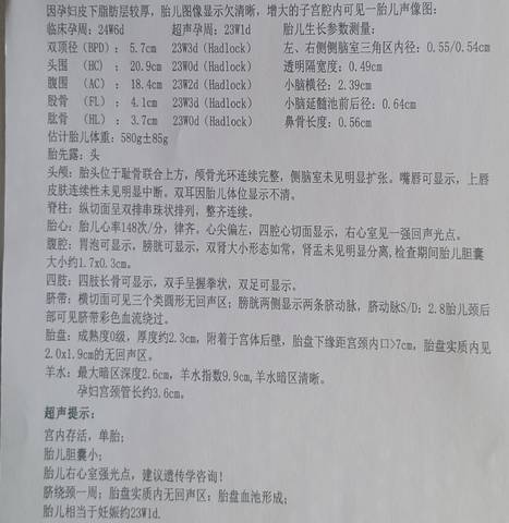 journal_insert_pic_1681553087