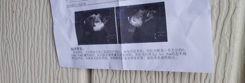 journal_insert_pic_1685826333