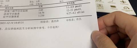 journal_insert_pic_1686395138