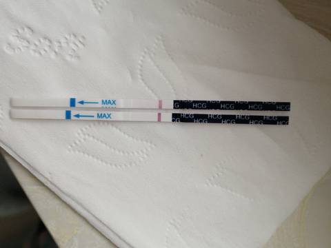 journal_insert_pic_1676629813