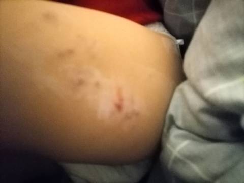 journal_insert_pic_1677083605