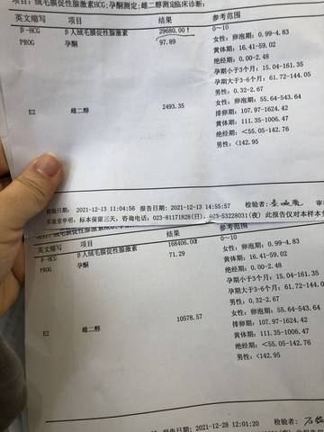 journal_insert_pic_1689384362