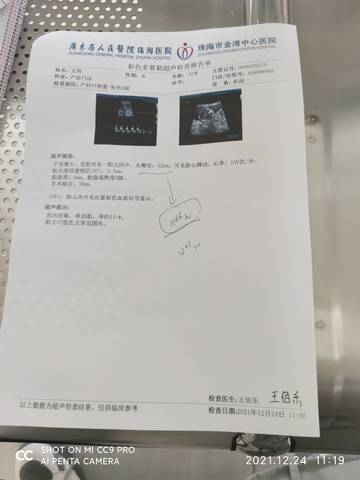journal_insert_pic_1685403947