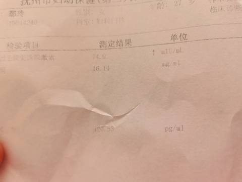 journal_insert_pic_1690429715