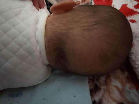 journal_insert_pic_1683206474