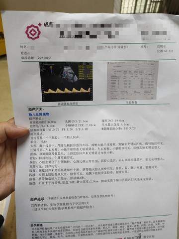 journal_insert_pic_1684166017
