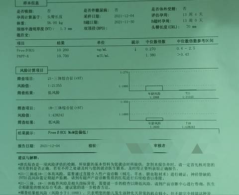 journal_insert_pic_1675995568