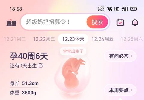 journal_insert_pic_1684853838