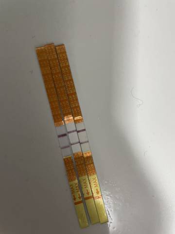 journal_insert_pic_1687444399