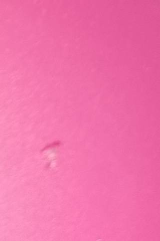 journal_insert_pic_1685485341