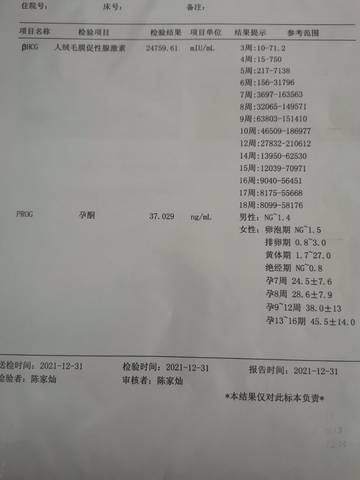 journal_insert_pic_1689721399