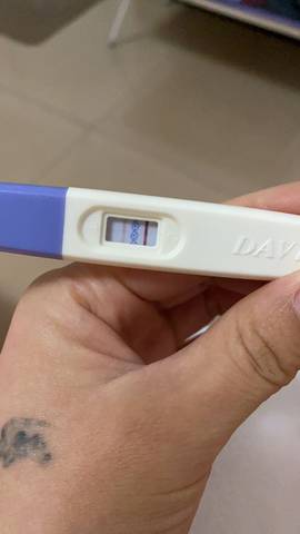 journal_insert_pic_1682123612