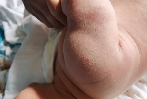 journal_insert_pic_1683636317