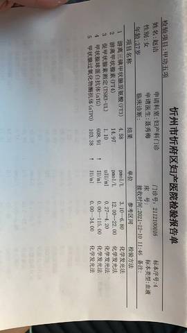 journal_insert_pic_1679251583