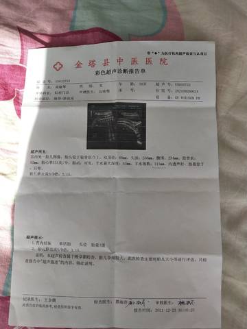 journal_insert_pic_1685853011