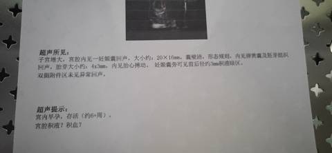 journal_insert_pic_1680980758