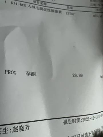 journal_insert_pic_1679168636