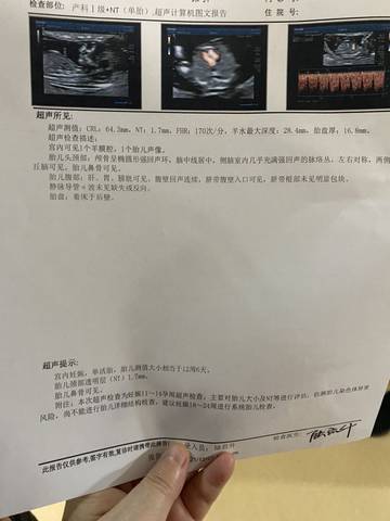 journal_insert_pic_1687183916