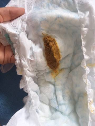 journal_insert_pic_1681584434