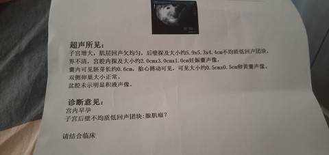 journal_insert_pic_1685883033