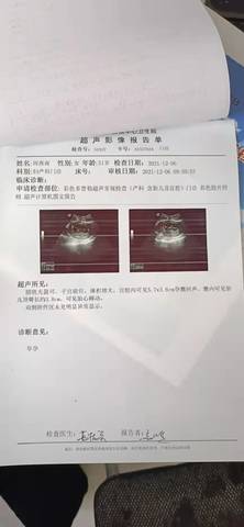 journal_insert_pic_1677394934