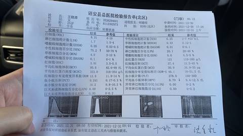 journal_insert_pic_1689393697