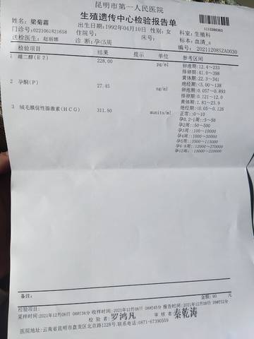 journal_insert_pic_1676178644