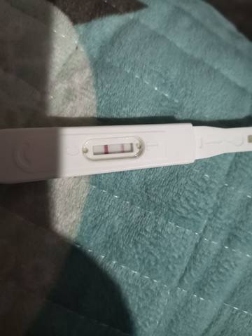 journal_insert_pic_1678891309