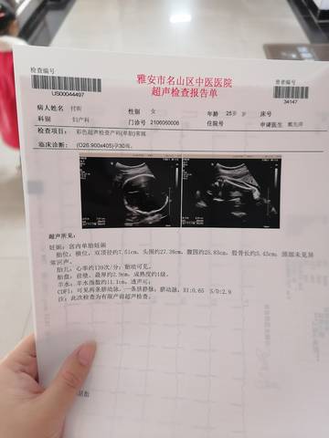 journal_insert_pic_1675664893