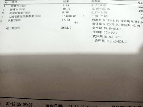 journal_insert_pic_1685950835