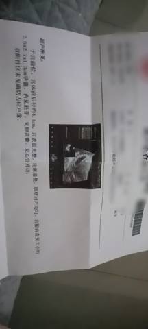 journal_insert_pic_1687554144