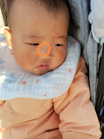 journal_insert_pic_1683634970