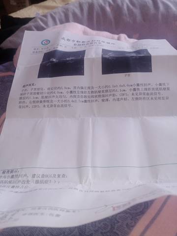 journal_insert_pic_1683150363
