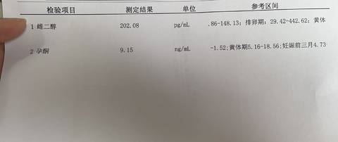 journal_insert_pic_1741043831