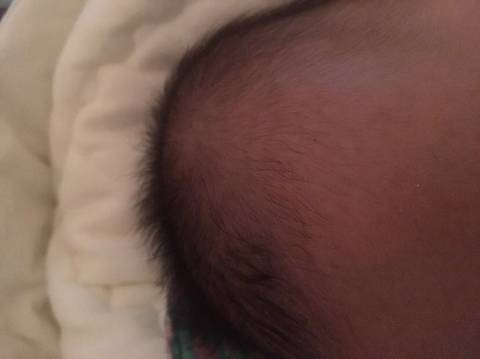 journal_insert_pic_1676268269