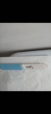 journal_insert_pic_1675513230