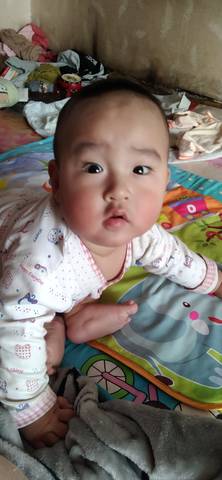 journal_insert_pic_1681391290