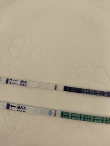 journal_insert_pic_1679499815