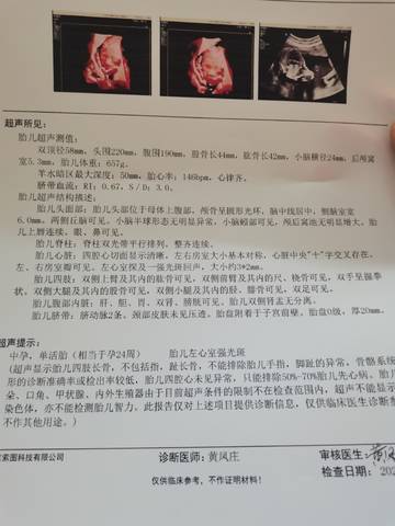 journal_insert_pic_1681106582