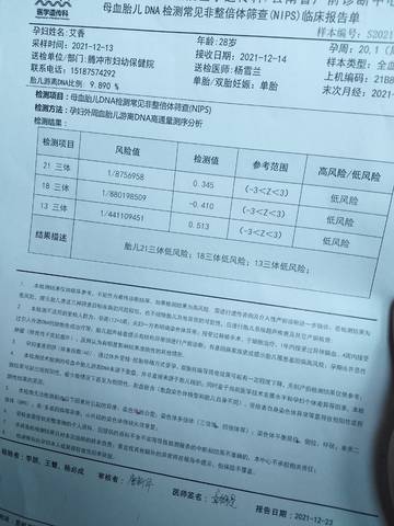journal_insert_pic_1689654521