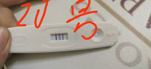 journal_insert_pic_1687964908