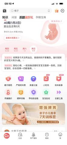 journal_insert_pic_1690544600