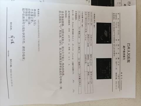 journal_insert_pic_1740825511