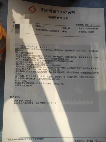 journal_insert_pic_1684424319